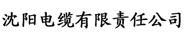 一区二区三区亚洲视频电缆厂logo